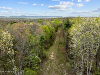 0 Peavine Rd, Crab Orchard, TN 37723
