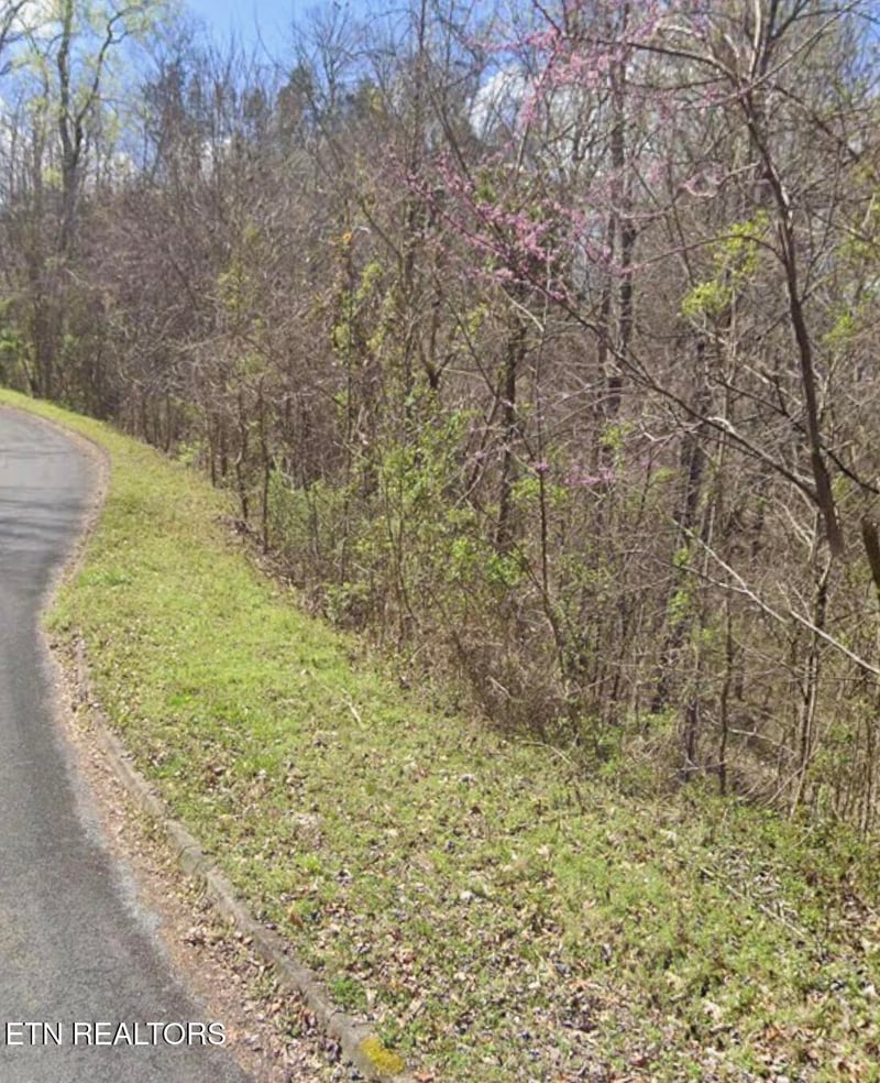 0 Penelope Ln, Sevierville, TN 37876