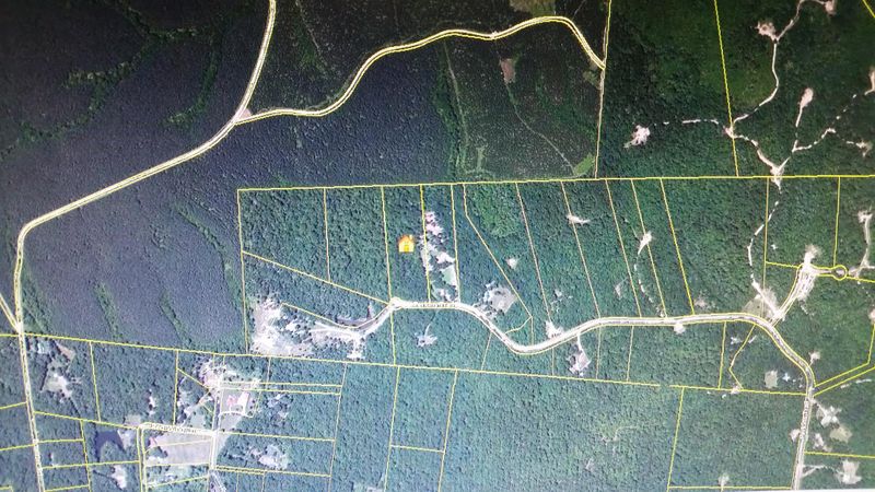 0 Perkins Tr, Deer Lodge, TN 37726