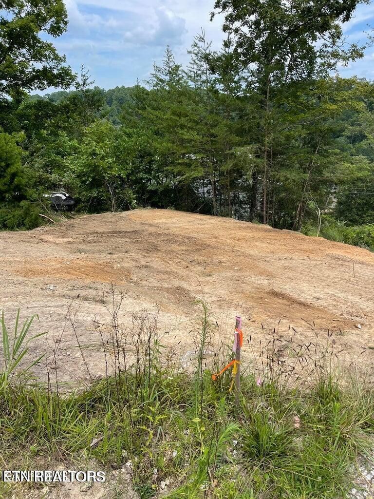 0 Perry Smith Ln, Caryville, TN 37714