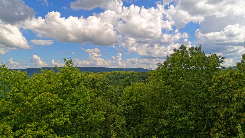 0 Persimmon Ln, Pioneer, TN 37847