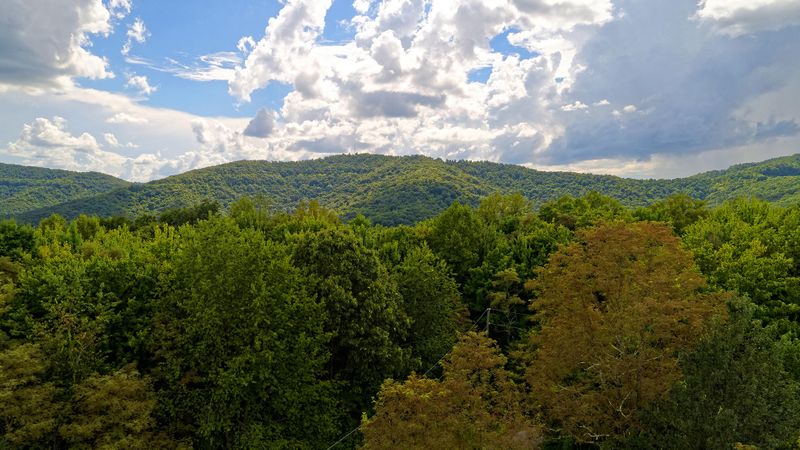 0 Persimmon Ln, Pioneer, TN 37847