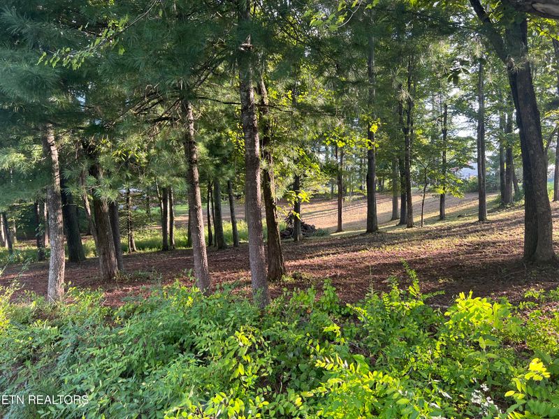0 Peter Pan Ave, Crossville, TN 38572