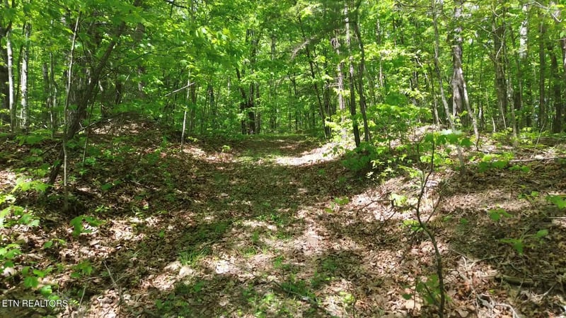 0 Peters Ford Rd, Sunbright, TN 37872