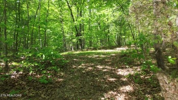 0 Peters Ford Rd, Sunbright, TN 37872