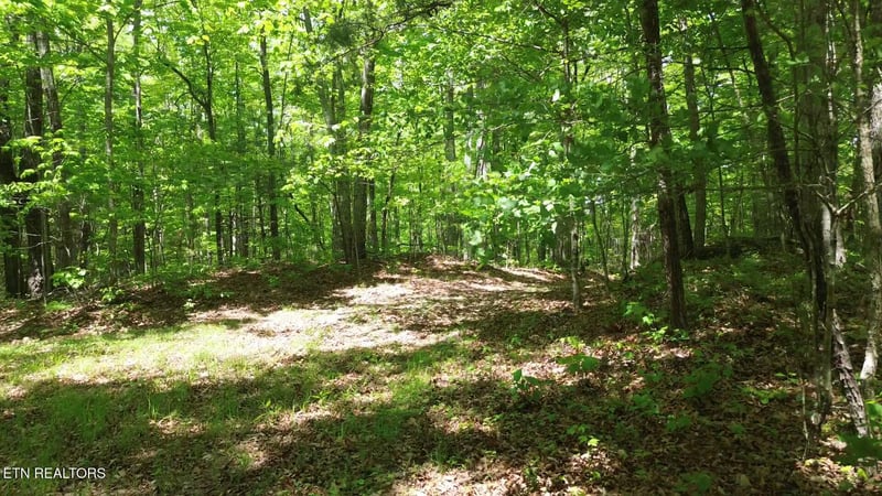 0 Peters Ford Rd, Sunbright, TN 37872