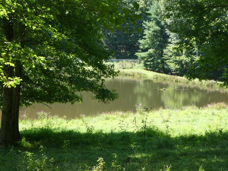 0 Petersford Rd, Sunbright, TN 37872