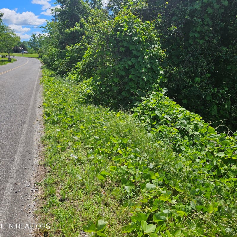 0 Petit Ln, Wartburg, TN 37887
