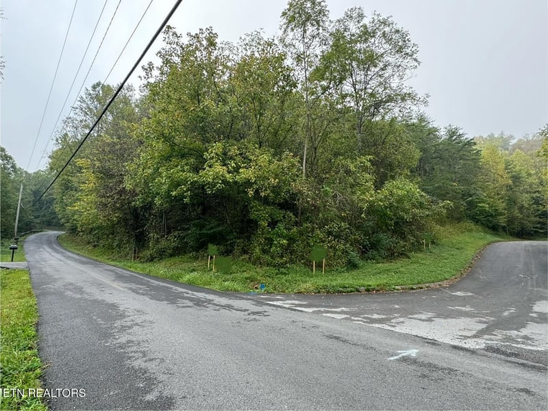 0 Pheasant Ct, Sevierville, TN 37876