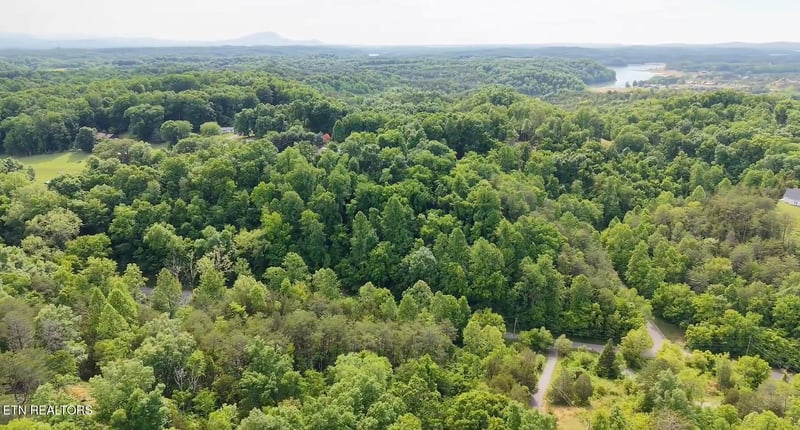 0 Pheasant Ct, Sevierville, TN 37876