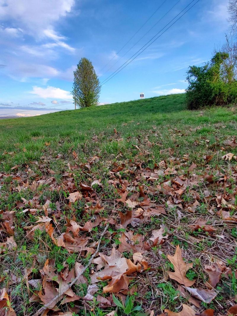 0 Pheasant View Lot 195, Rutledge, TN 37861