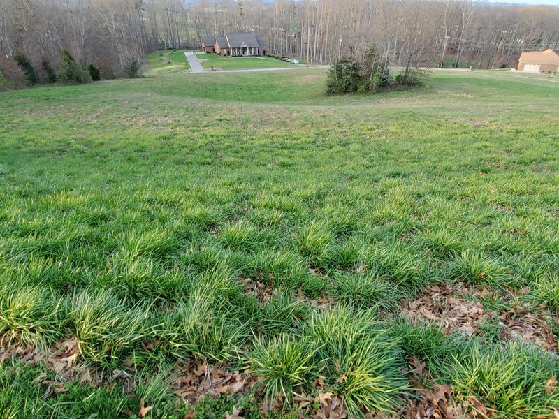 0 Pheasant View Lot 195, Rutledge, TN 37861