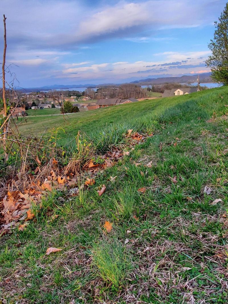 0 Pheasant View Lot 195, Rutledge, TN 37861