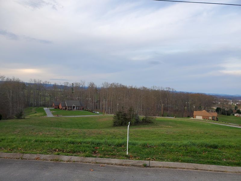 0 Pheasant View Lot 195, Rutledge, TN 37861