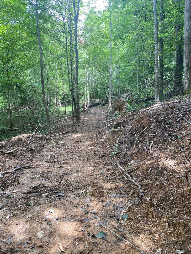 0 Phillips Cemetary Rd, Helenwood, TN 37755