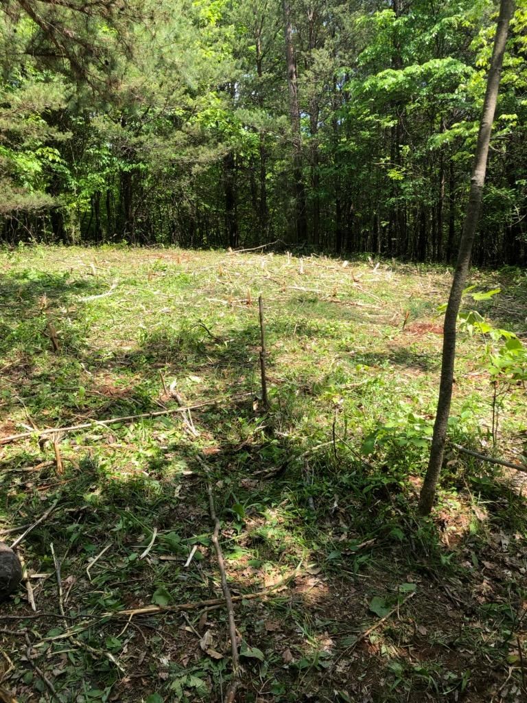 0 Pickel Ln, Knoxville, TN 37914