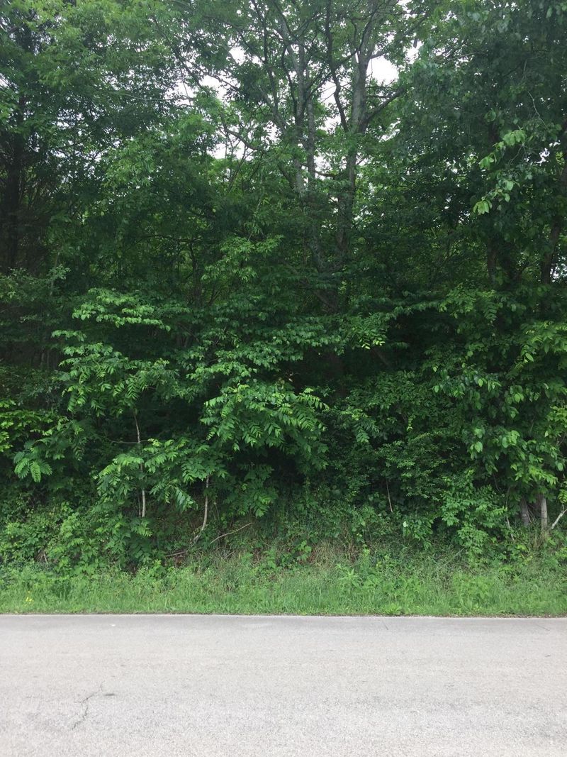 0 Pickens Gap Rd, Seymour, TN 37865