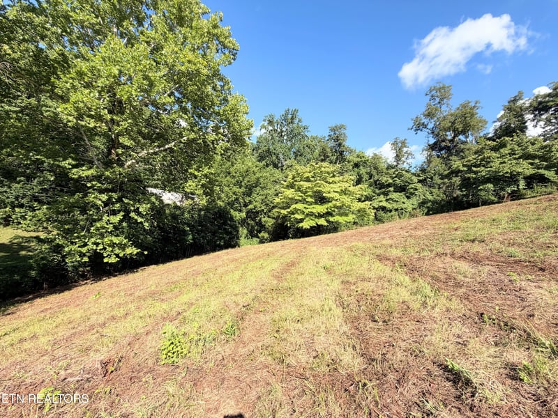 0 Pine Crest Dr, Maynardville, TN 37807