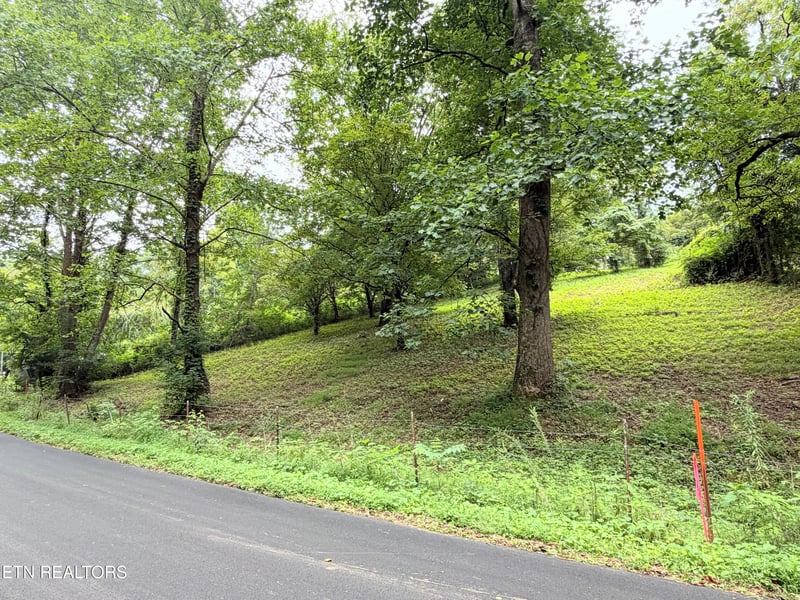 0 Pine Crest Dr, Maynardville, TN 37807