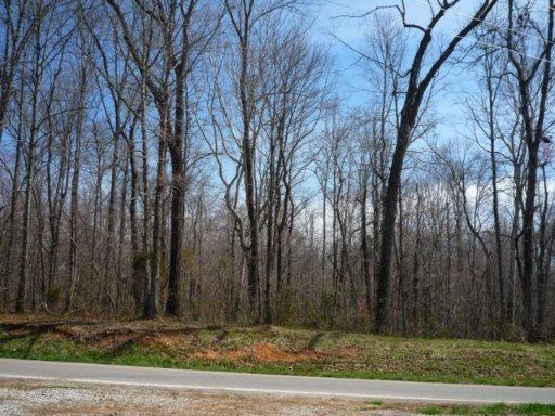 0 Pine Grove Providence, Loudon, TN 37774