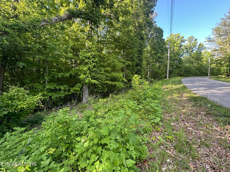 0 Pine Hollow Rd, Jacksboro, TN 37757