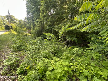 0 Pine Hollow Rd, Jacksboro, TN 37757
