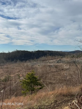 0 Pine Mountain Rd, Jellico, TN 37762