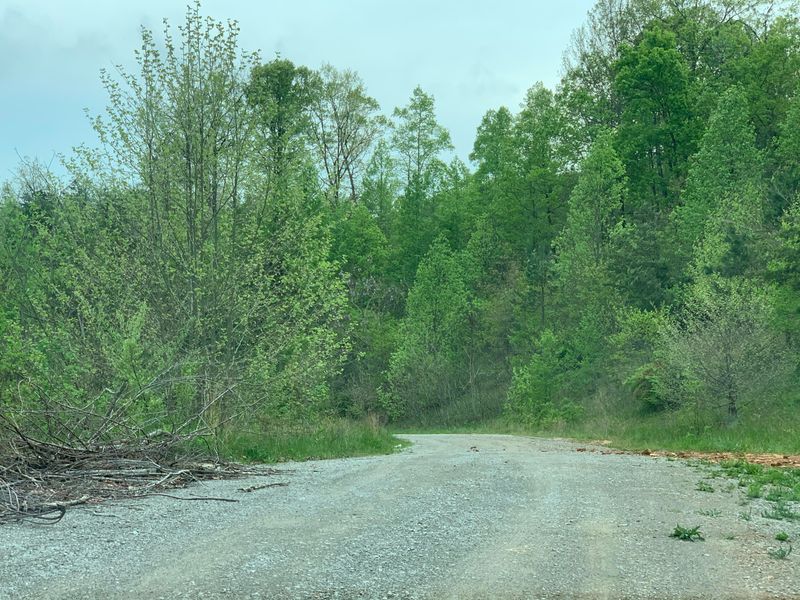 0 Pine Mountain Rd, Lafollette, TN 37766