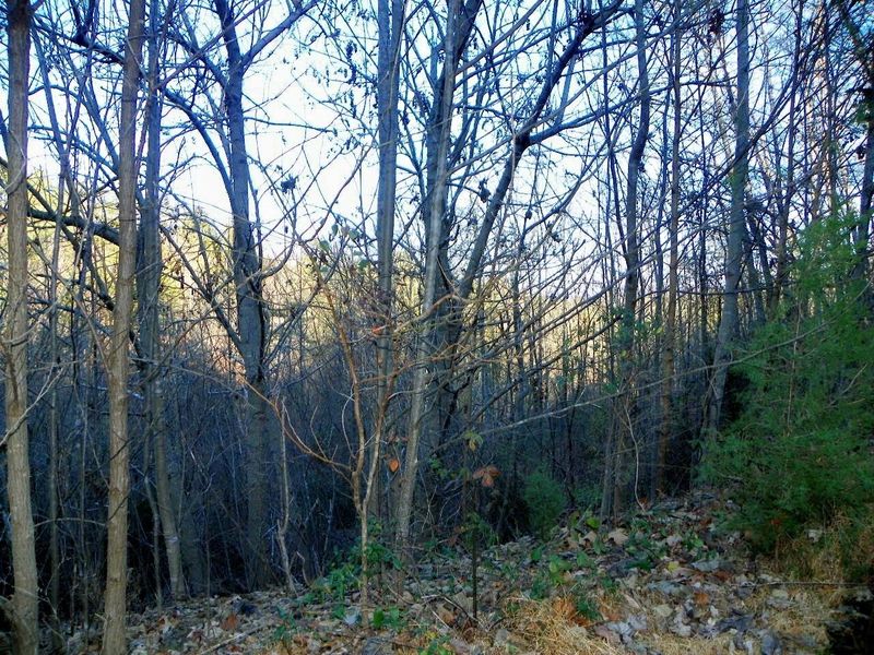 0 Pine Valley Way Lot 11, Pigeon Forge, TN 37863