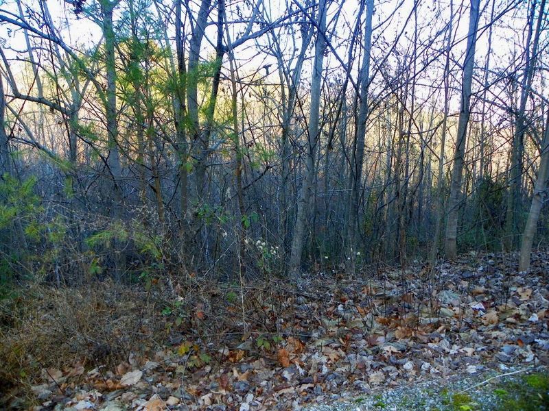 0 Pine Valley Way Lot 11, Pigeon Forge, TN 37863