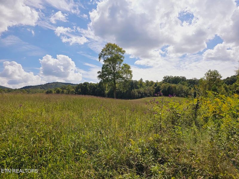 0 Piney Grove Rd, Oneida, TN 37841