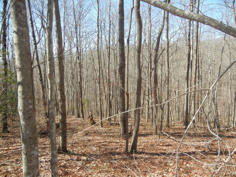 0 Piney Pl #4, Monterey, TN 38574