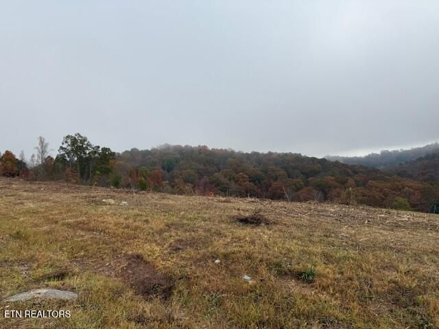 0 Pinnacle Ln, Lafollette, TN 37766