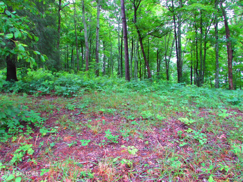 0 Pinnacle Pointe Way, Sharps Chapel, TN 37866