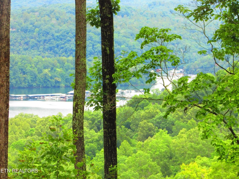 0 Pinnacle Pointe Way, Sharps Chapel, TN 37866