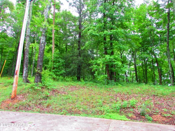 0 Pinnacle Pointe Way, Sharps Chapel, TN 37866