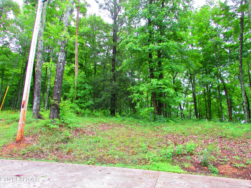 0 Pinnacle Pointe Way, Sharps Chapel, TN 37866