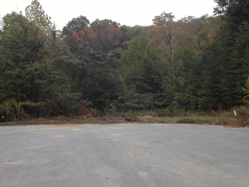 0 Pinnacle Way, Oak Ridge, TN 37830