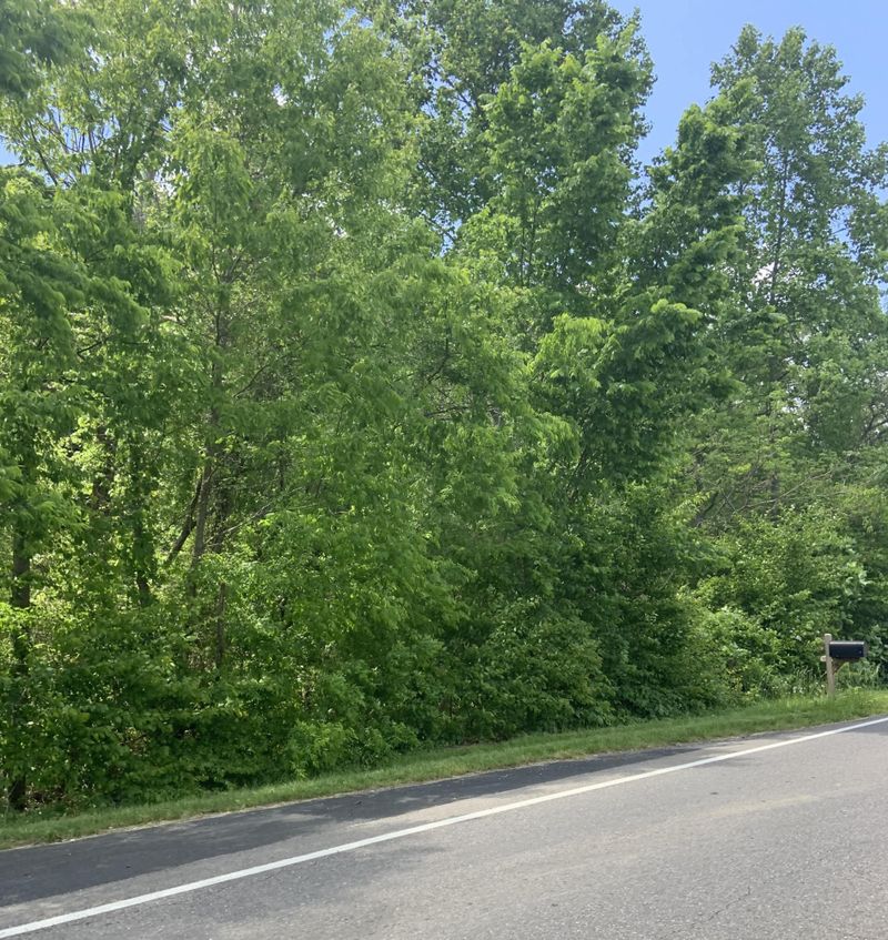 0 Pittman Center Rd, Sevierville, TN 37876