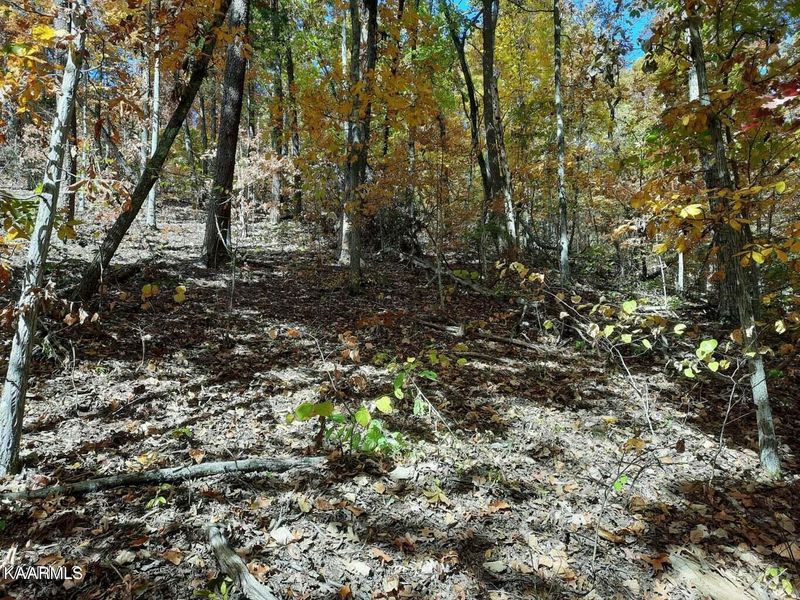 0 Pleasant Valley Dr, Sevierville, TN 37862