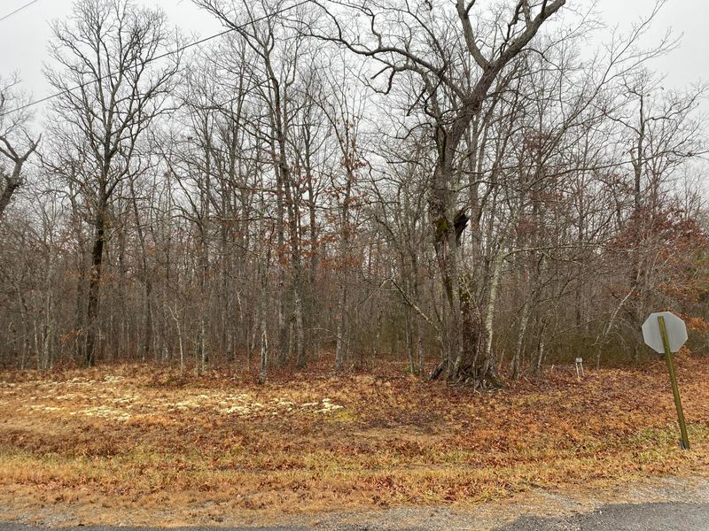 0 Pond Rd, Monterey, TN 38574
