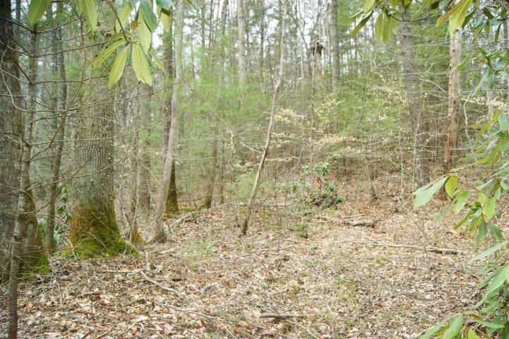 0 Pond Ridge # 2, Tellico Plains, TN 37385