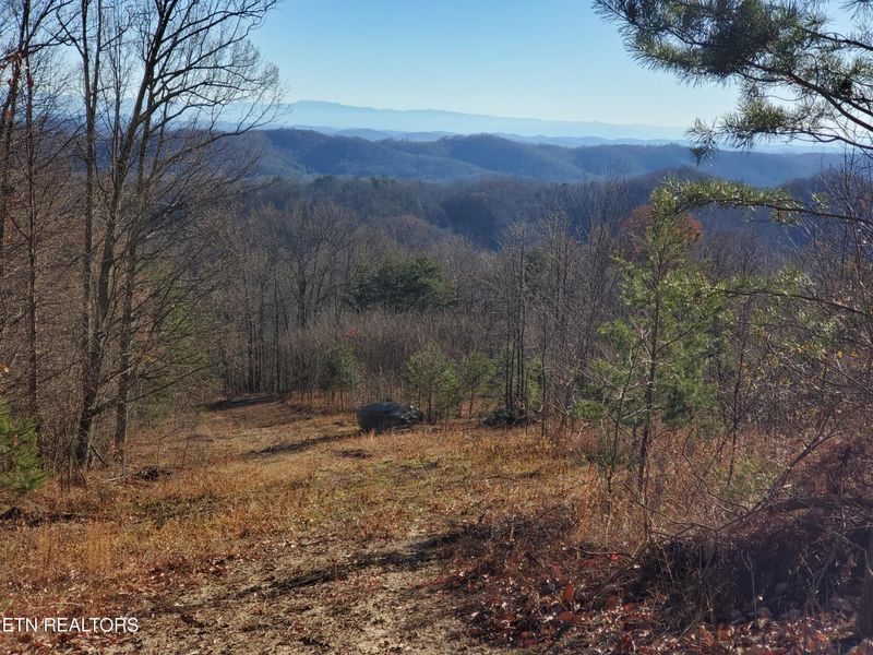 0 Poor Valley, Rutledge, TN 37861