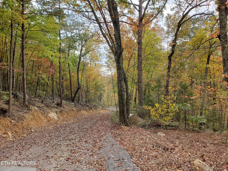 0 Poor Valley, Rutledge, TN 37861