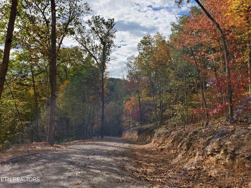 0 Poor Valley, Rutledge, TN 37861