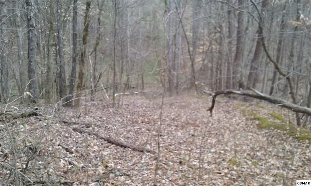0 Poplar Ln, Kodak, TN 37764