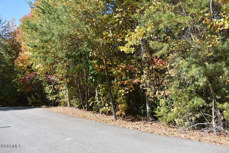 0 Possum Cove Way, Sevierville, TN 37862