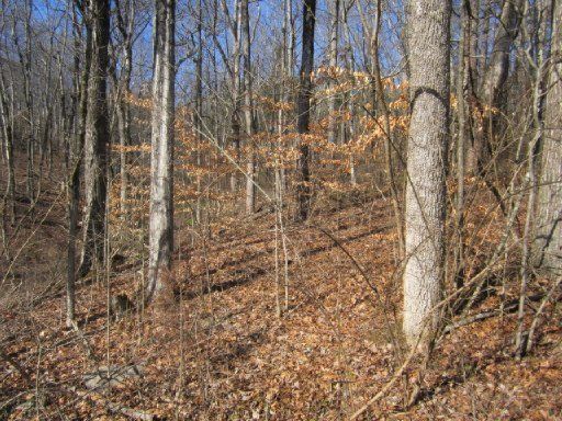 0 Post Oak Dr, Knoxville, TN 37920