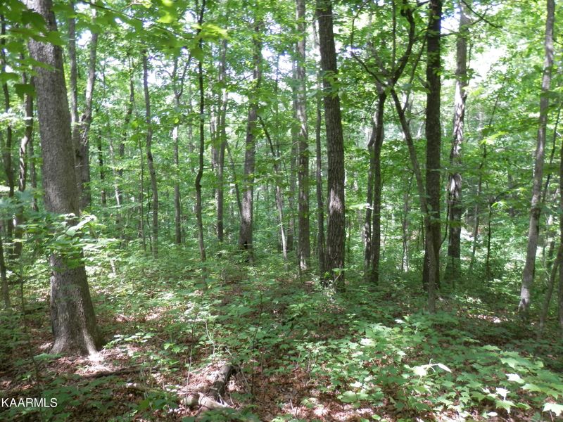 0 Poston Dr #3, Monterey, TN 38574