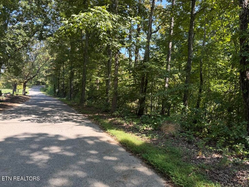 0 Powder Mill Ln, Lafollette, TN 37766